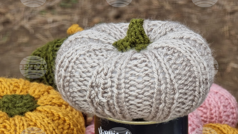 Възпитаници на училището „Христо Ботев“ и Българската детска градина в Братислава участваха в интердисциплинарен общ урок