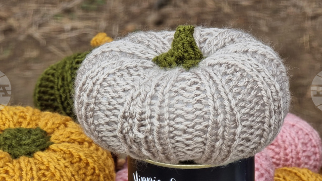 Възпитаници на училището „Христо Ботев“ и Българската детска градина в Братислава участваха в интердисциплинарен общ урок