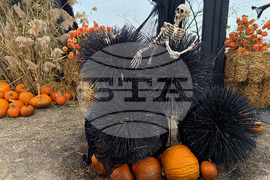 Румъния - фестивал за Хелоуин