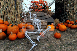 Румъния - фестивал за Хелоуин