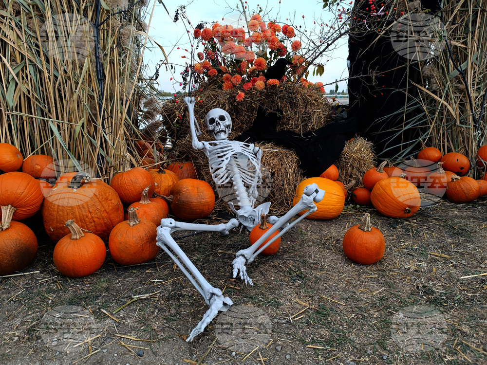 Румъния - фестивал за Хелоуин