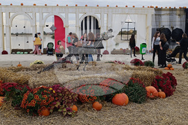 Румъния - фестивал за Хелоуин