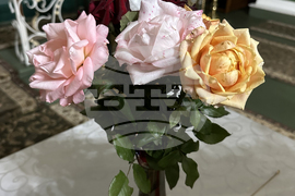 Украйна  - село Камчик (Заря) - българска общност