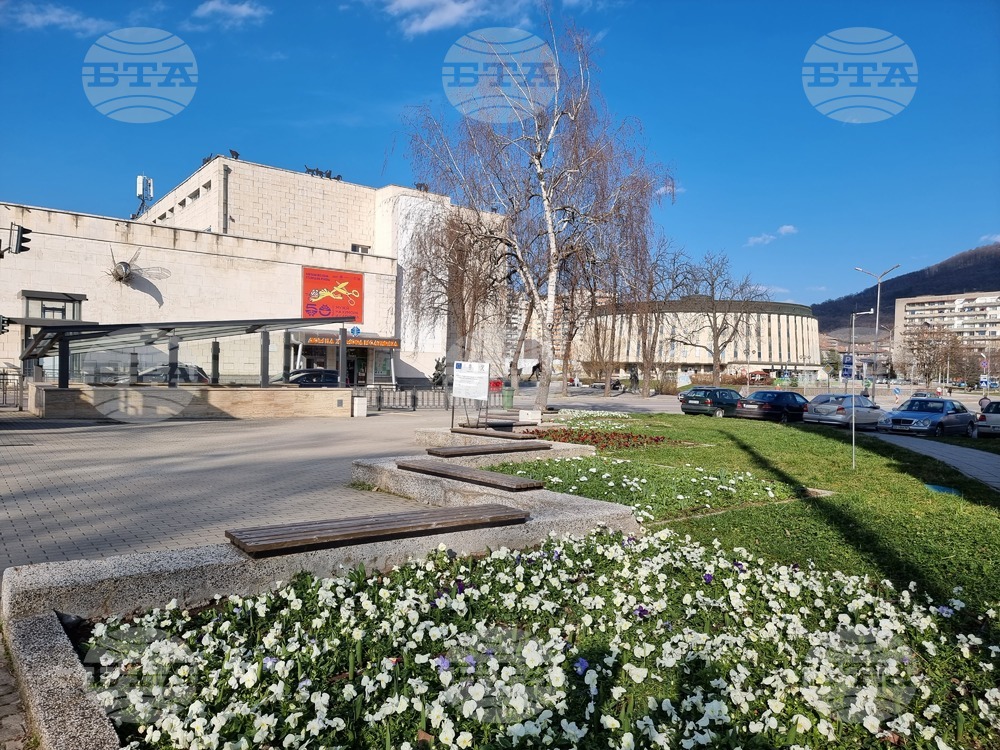 Жена, отнела предимство снощи на кръстовището до Музея на хумора в Габрово, предизвика катастрофа