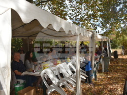 Снимка: Община Ловеч