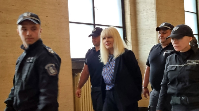 Румънският Върховен съд отложи за 20 юни разглеждането на касационно обжалване на бившия министър Елена Удря срещу шестгодишната й присъда затвор