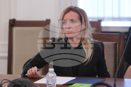 Парламент - Комисия по външна политика - заседание