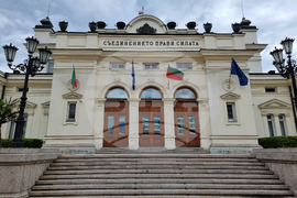 Парламент - вход - врати - метални решетки