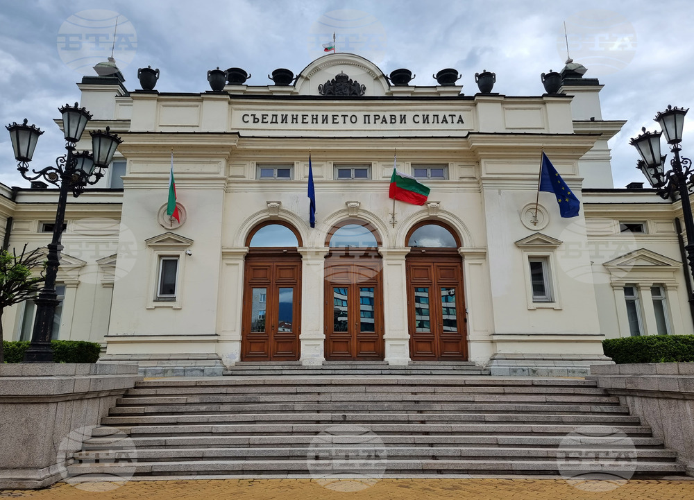 Парламент - вход - врати - метални решетки