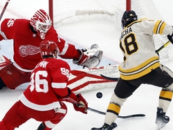 Red Wings Bruins Hockey