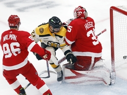 Red Wings Bruins Hockey