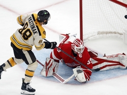 Red Wings Bruins Hockey