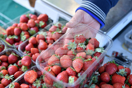 Варна - фермерски пазар