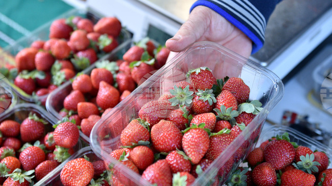 През 2026 г. ЕК ще отпусне 205 млн. евро за съфинансиране на дейности за популяризиране на устойчиви и висококачествени селскостопански хранителни продукти