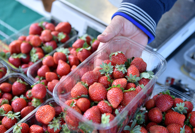 Икономическият и социален съвет изтъква необходимостта от самостоятелен и адекватен бюджет за земеделските производители