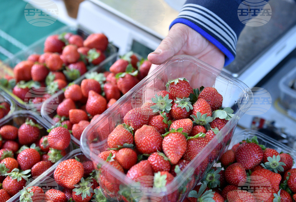 Варна - фермерски пазар