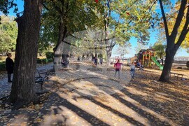 Видин - топло време - изборен ден