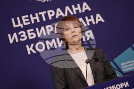 ЦИК - брифинг