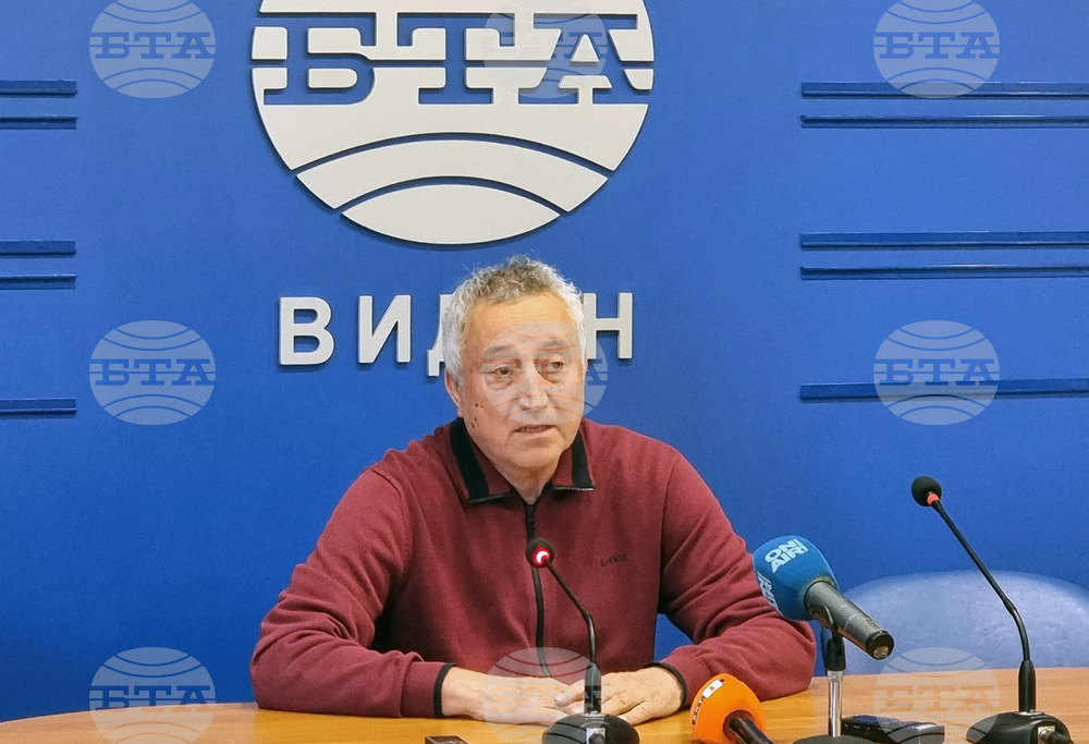 Избирателната активност в Община Видин е 30,86 процента към 16:00 часа
