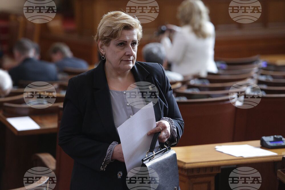 Парламент - Елена Гунчева - заседание