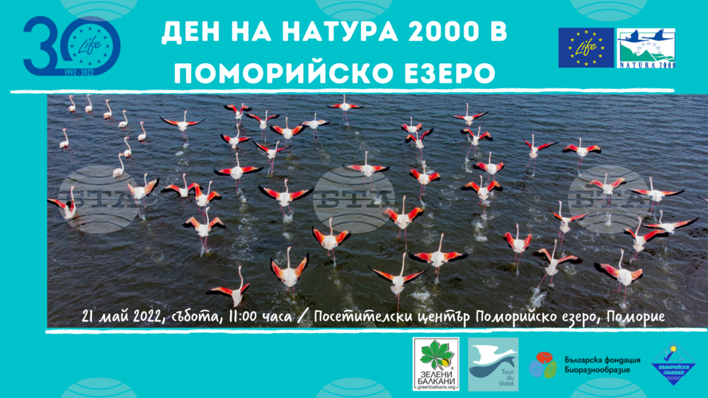 Еколози организират празник на брега на Поморийското езеро по повод Деня на "Натура 2000"