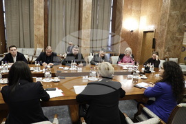 Румъния - Марчел Чолаку - Вера Йоурова - среща