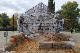 Румъния -  Хелоуин