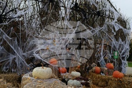 Румъния -  Хелоуин