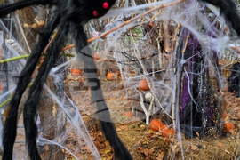 Румъния -  Хелоуин