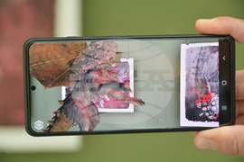 Русе - Графика с добавена реалност - изложба