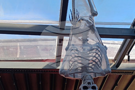 Румъния -  Хелоуин