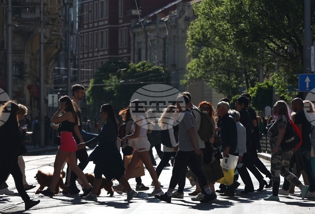 Жените все още чакат истинско равенство – 8 март в числа 