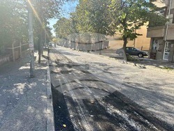 Снимка: Община Хасково