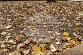 Добрич - златна есен