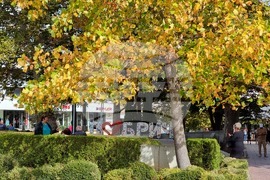 Добрич - златна есен