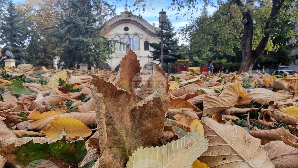 Добрич - златна есен