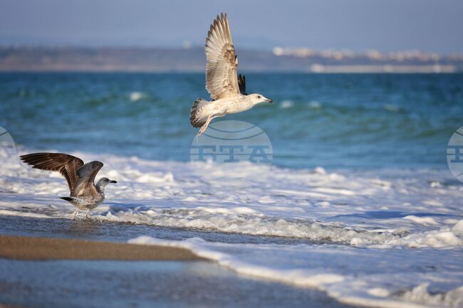 The Weather on August 22