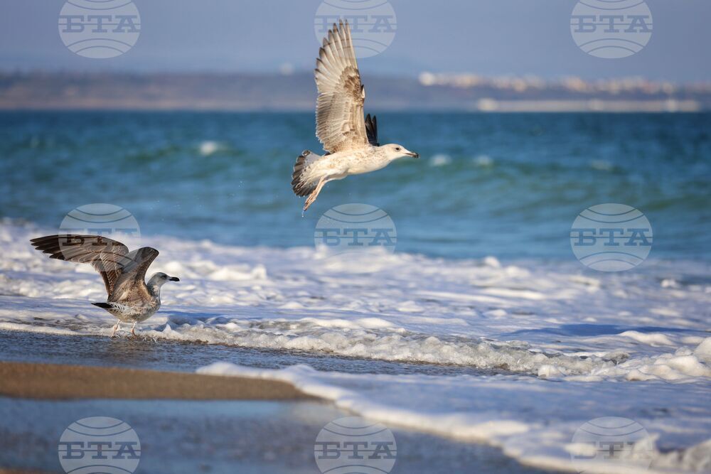 Бургас - Международен ден на Черно море