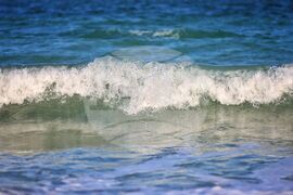 Бургас - Международен ден на Черно море