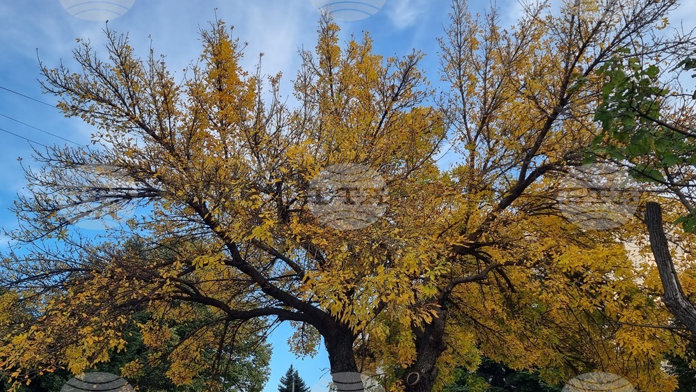 Haskovo Sees Its Warmest October 31 Ever