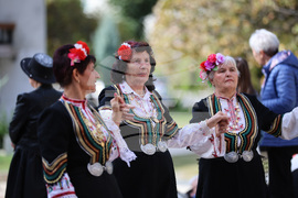 Благоевград - Ден на народните будители - концерт