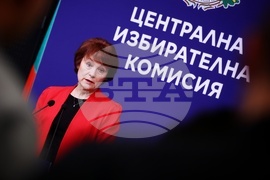 ЦИК - брифинг