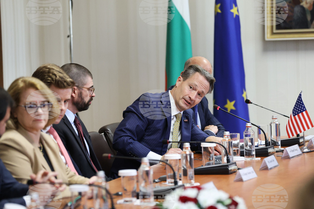 Президент - американска бизнес делегация - среща