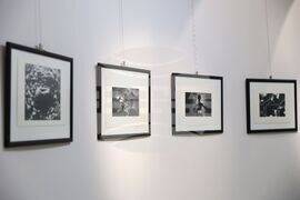 Бургас - „Деяна Стаматова - избрано" - изложба фотография