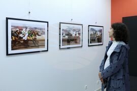 Бургас - Мустафа Мескин - „Тбурида" - изложба фотография