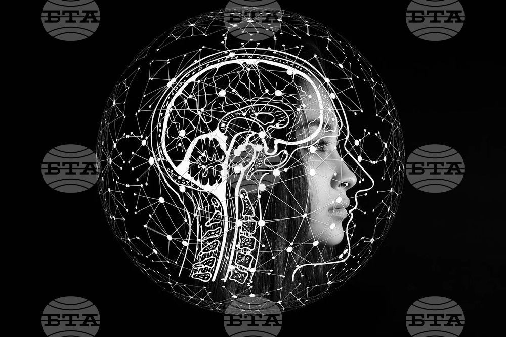 Коефициентът на интелигентност обикновено отразява качеството на образованието и ресурсите