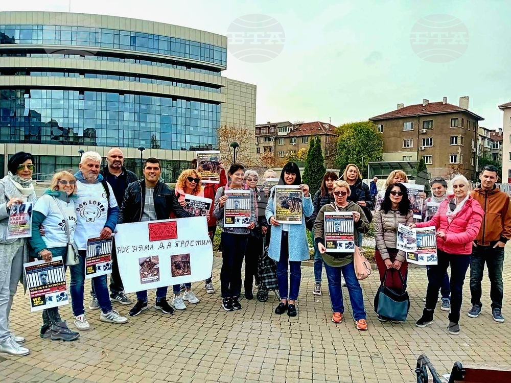 Районен съд - дело - насилие над животно