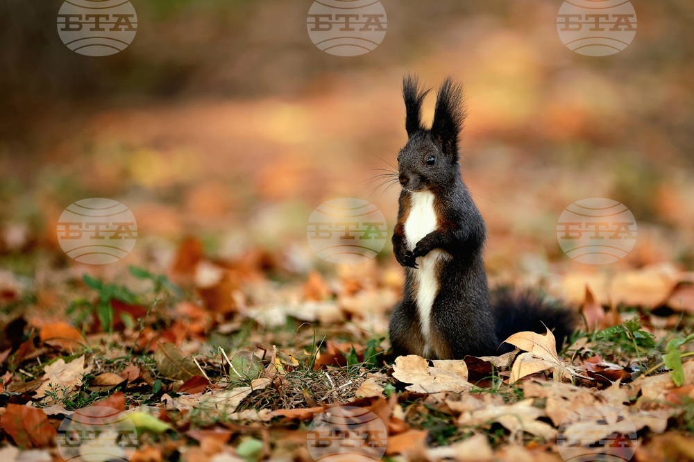 The Weather on October 21