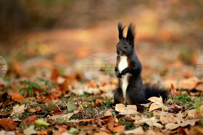 The Weather on October 21