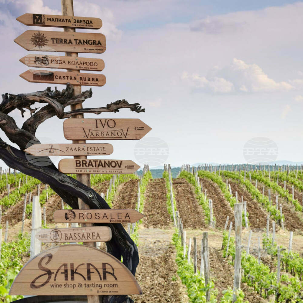 First Spring Amidst the Vineyards Wine Fest Concludes